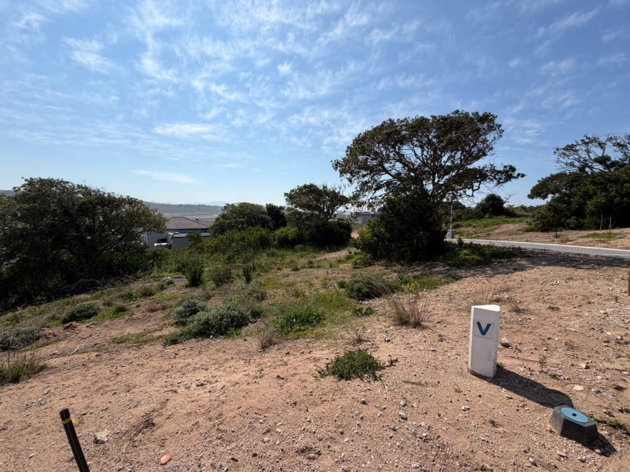 0 Bedroom Property for Sale in Reebok Western Cape